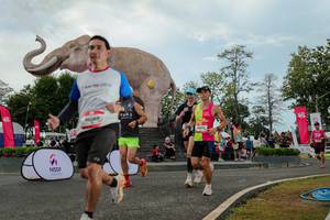 BIB: 
                            <button type="button" onclick="openModal(26528862)" class="btn btn-primary btn-sm float-right btn-popup" data-toggle="modal" data-target=".modal-high-quality">
                        <i class="fas fa-shopping-cart"></i> Add to Cart
                    </button>
                                            <button type="button" onclick="isThisMe(26528862, true)" class="btn btn-success btn-sm float-right btn-popup btn-isme hidden" data-toggle="tooltip" data-placement="bottom" title="นี่คือรูปของคุณใช่ไหม คลิกที่นี่เพื่อเอาเข้าอัลบั้ม">
                        <i class="fas fa-plus"></i> Add to album
                    </button>
                    <button type="button" onclick="isThisMe(26528862, false)" class="btn btn-warning btn-sm float-right btn-popup btn-isnotme hidden">
                        <i class="fas fa-ban"></i> Remove from album
                    </button>